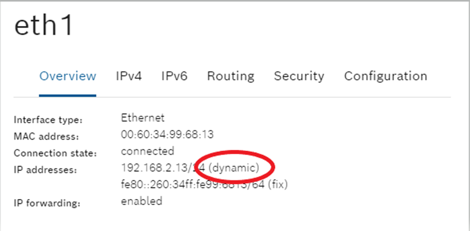 Dynamic IP address configuration check