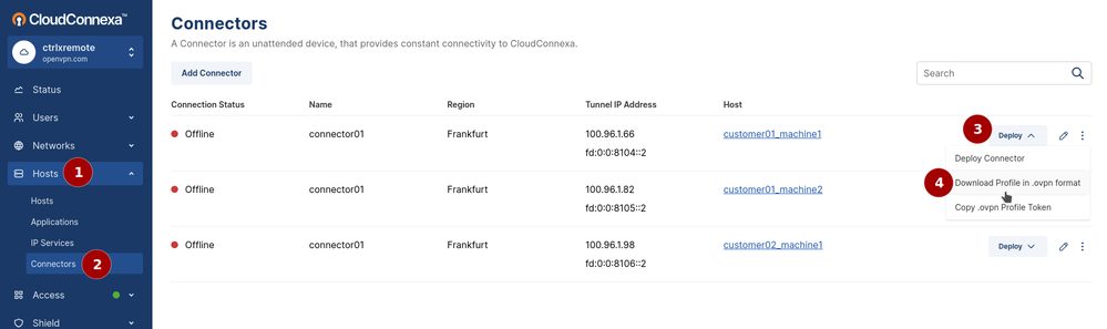 Downlod the Connector Profile in .ovpn format