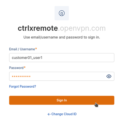 Paste Username and Password into the Login Form